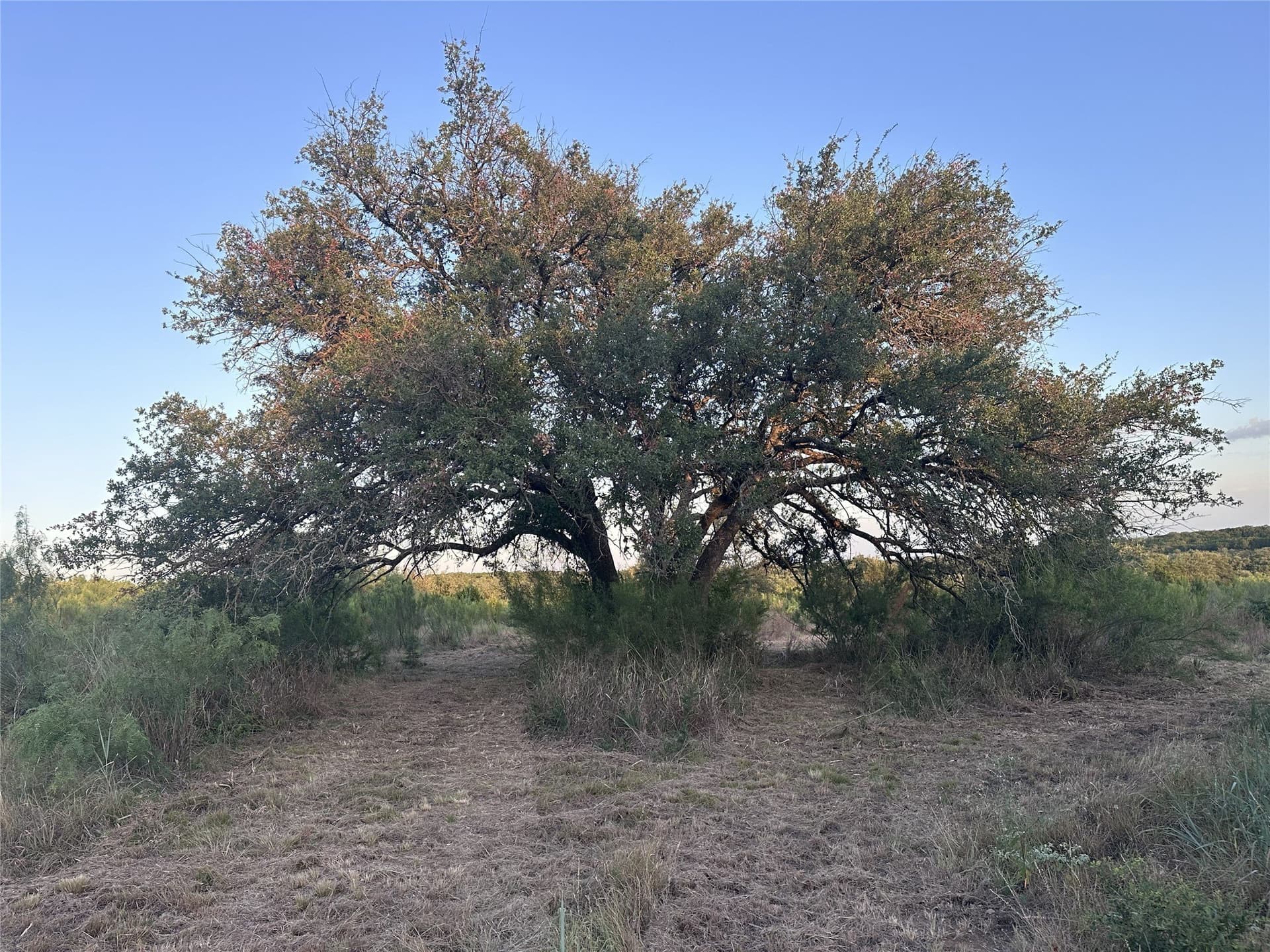 25 acres in Travis County - photo 26