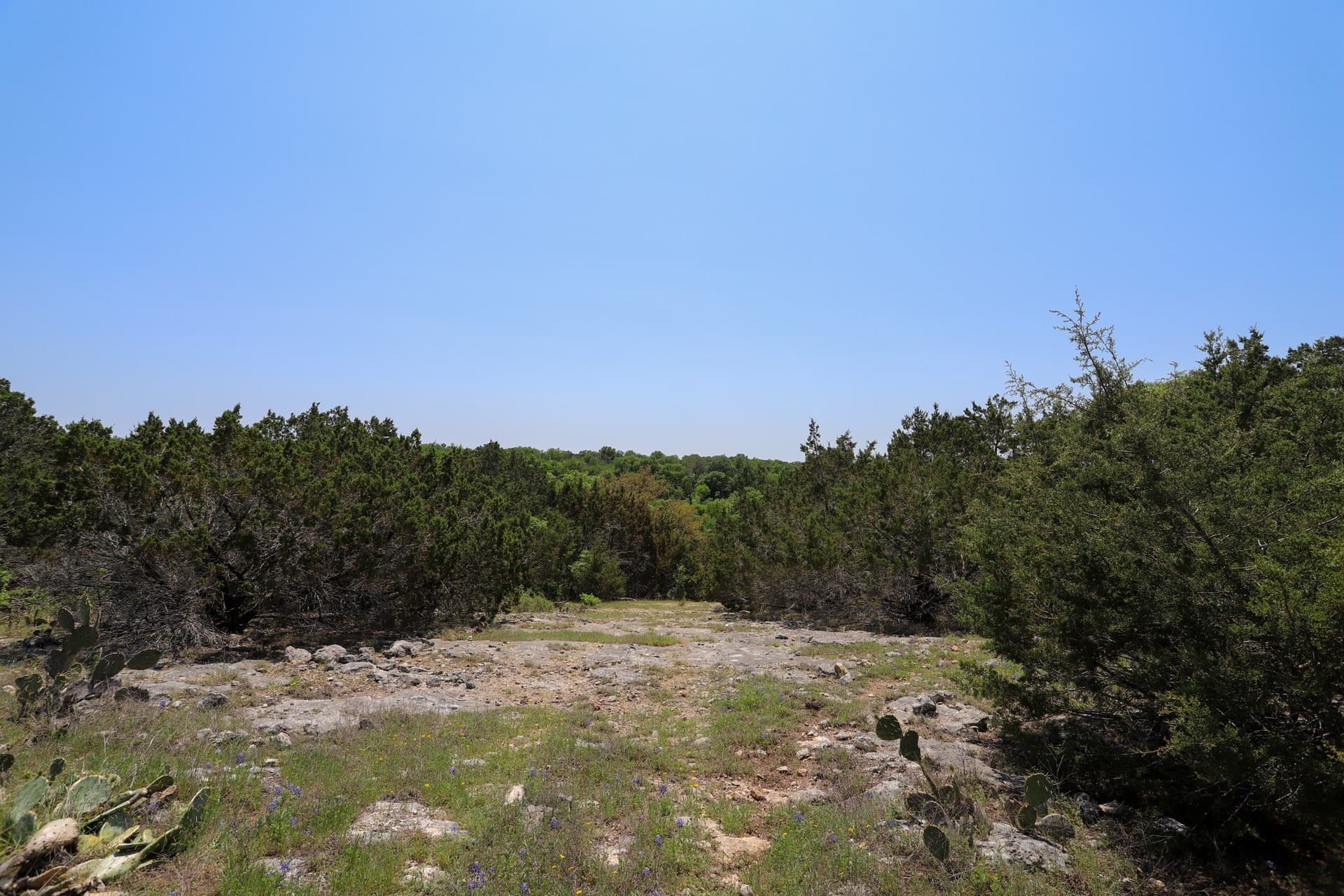 533 acres in Coryell County - photo 8