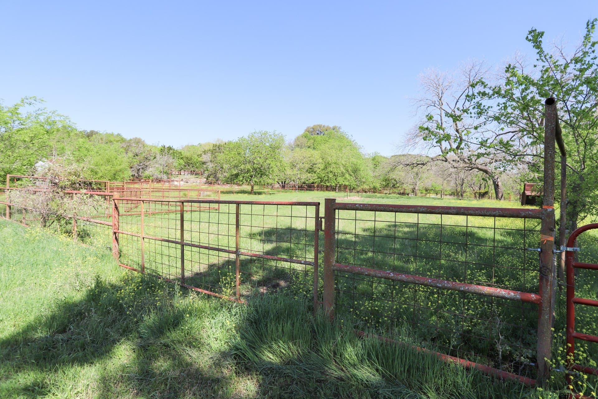 533 acres in Coryell County - photo 4
