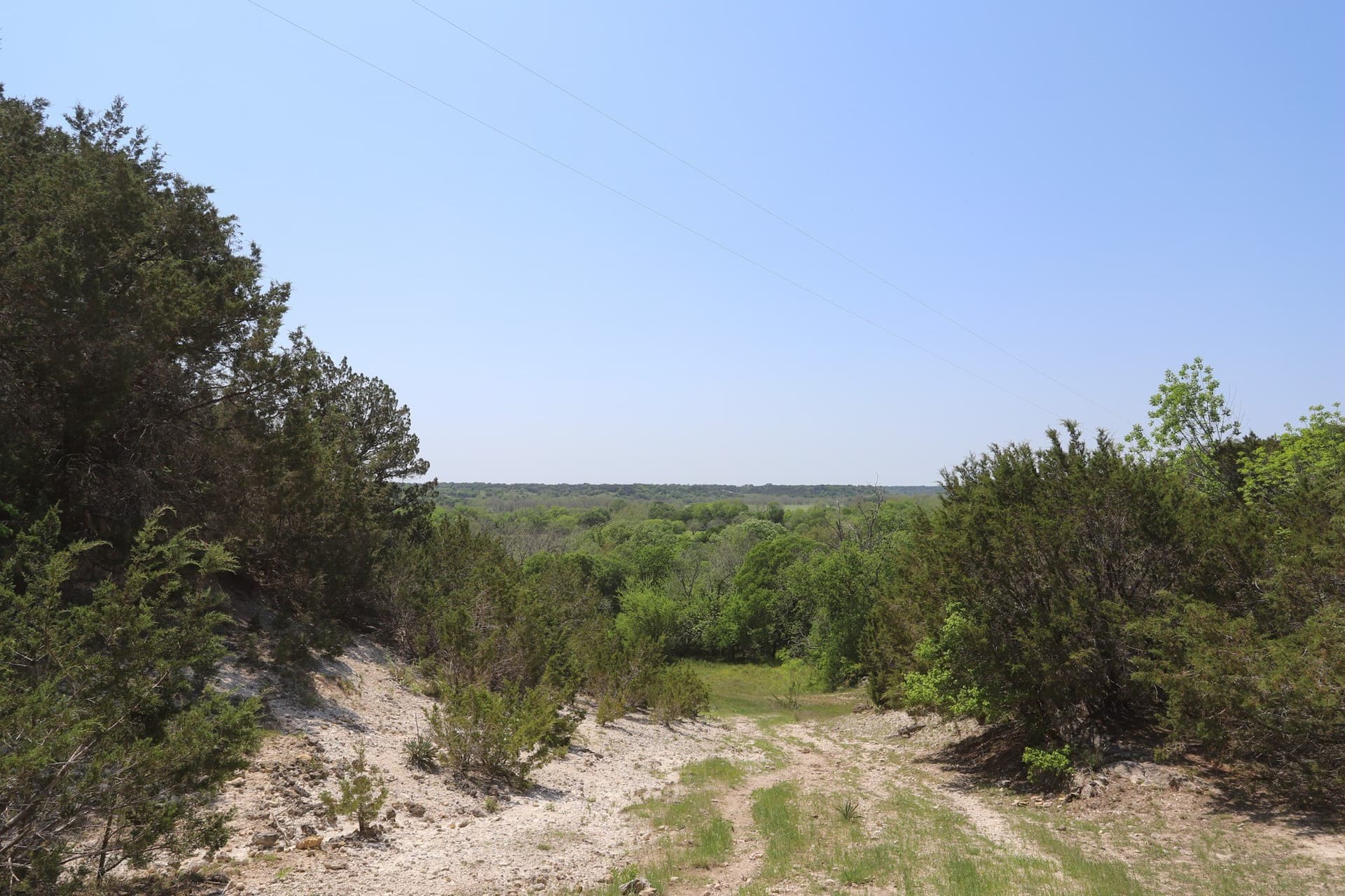 533 acres in Coryell County - photo 23