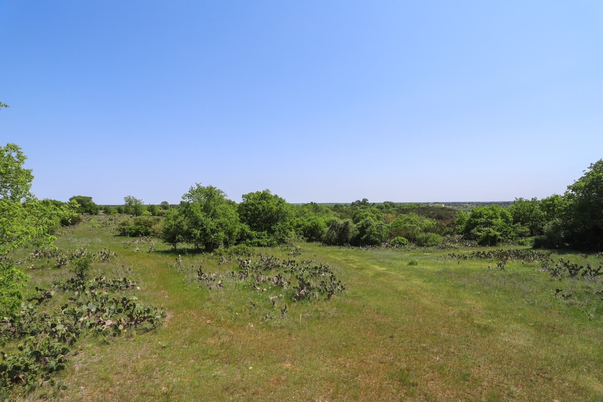 533 acres in Coryell County - photo 18