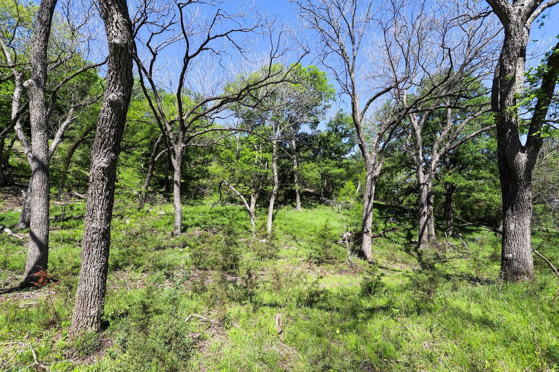 533 acres in Coryell County - photo 5