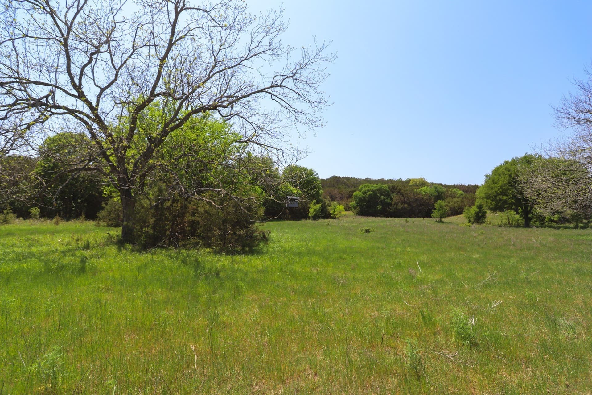 533 acres in Coryell County - photo 13
