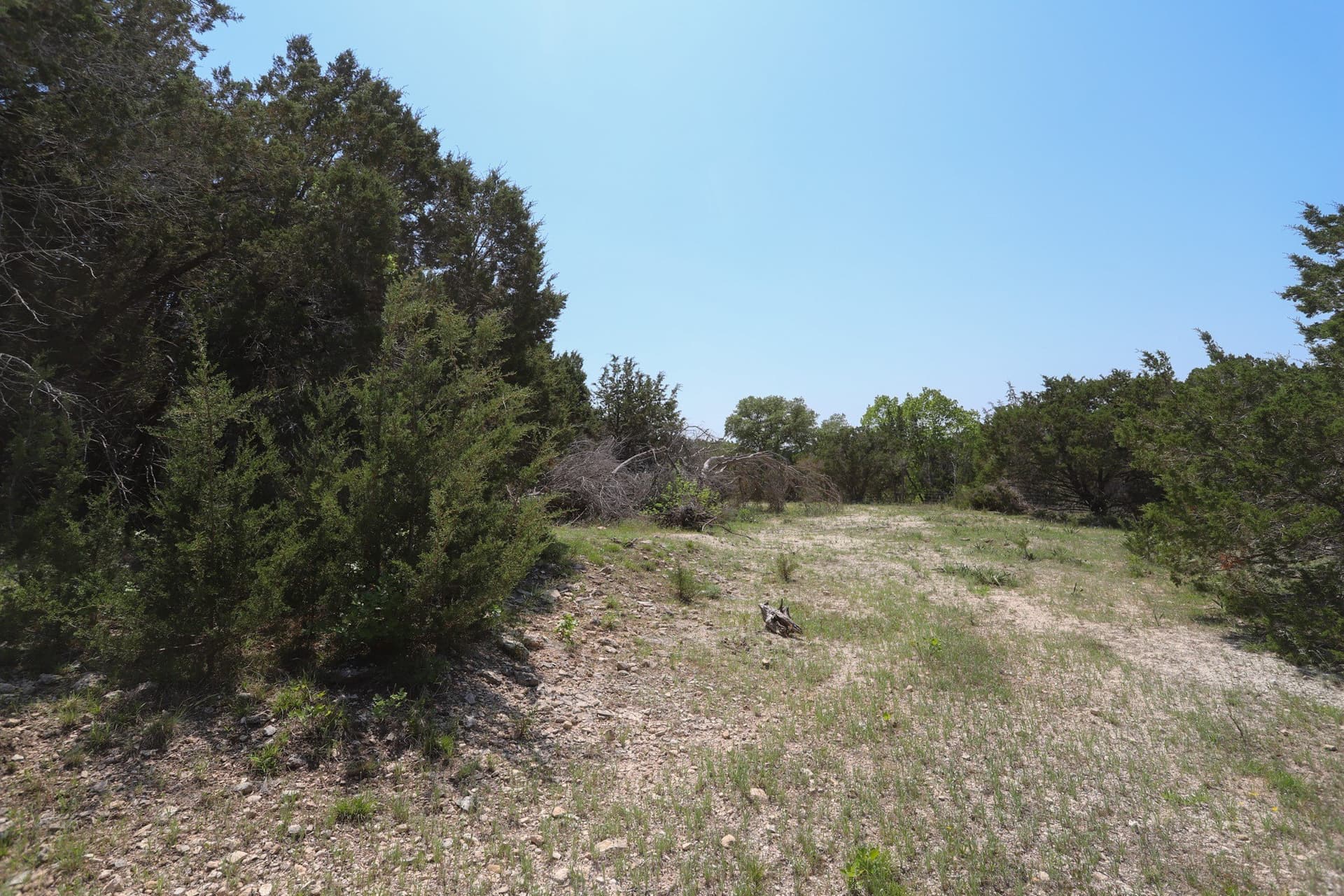 533 acres in Coryell County - photo 19