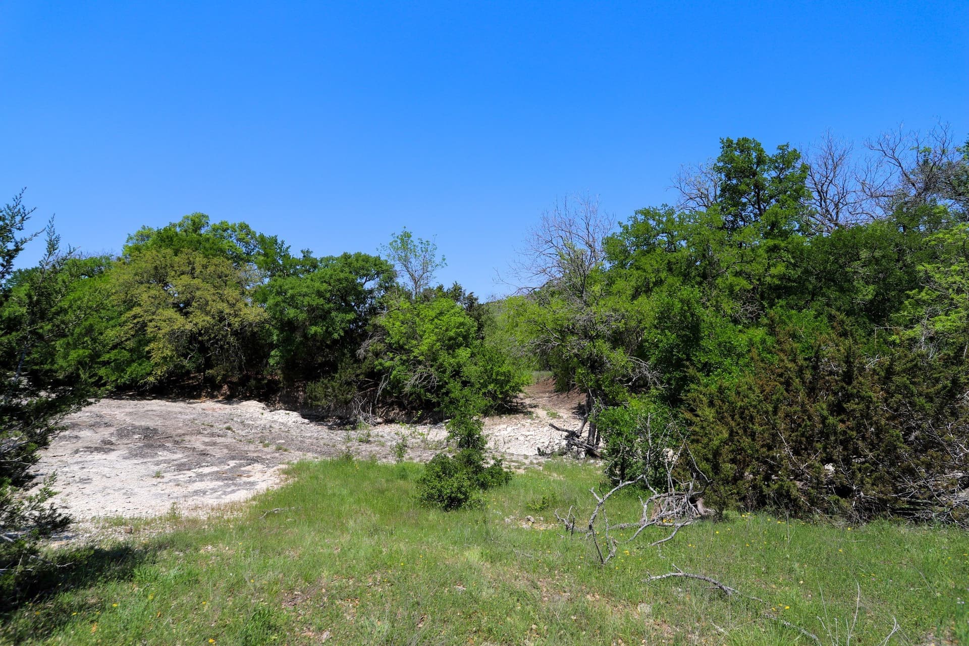 533 acres in Coryell County - photo 11