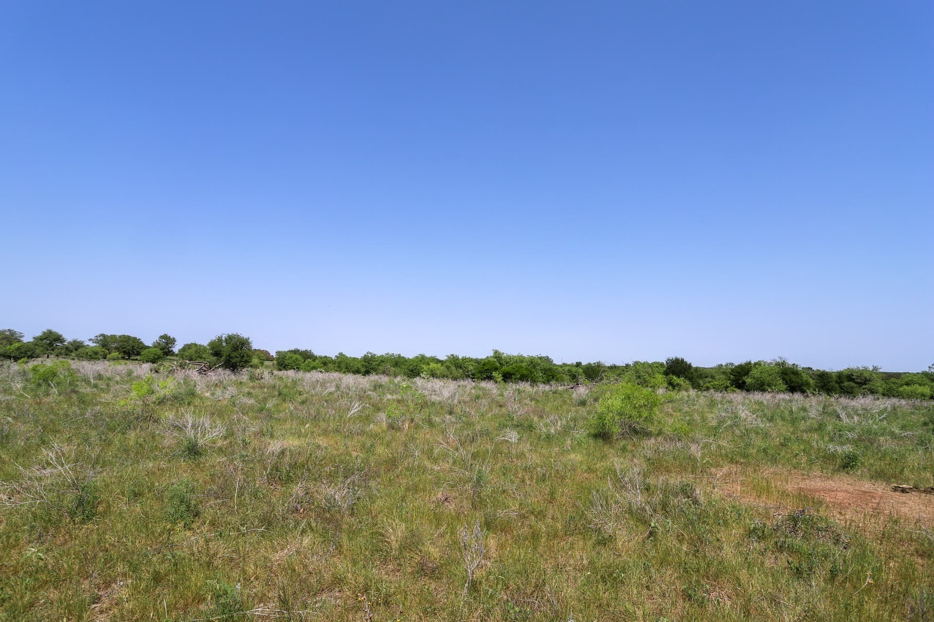 533 acres in Coryell County - photo 24