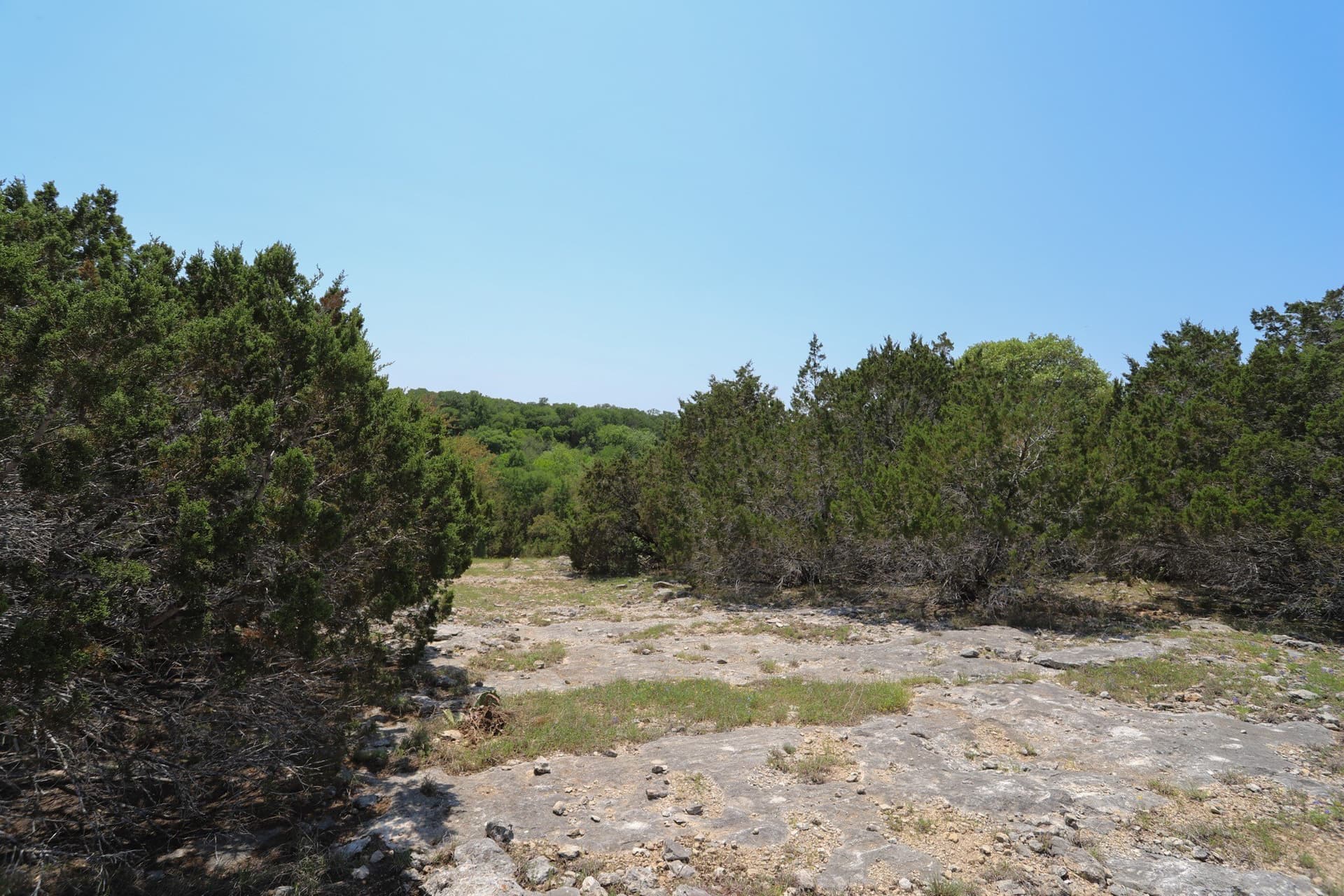 533 acres in Coryell County - photo 9