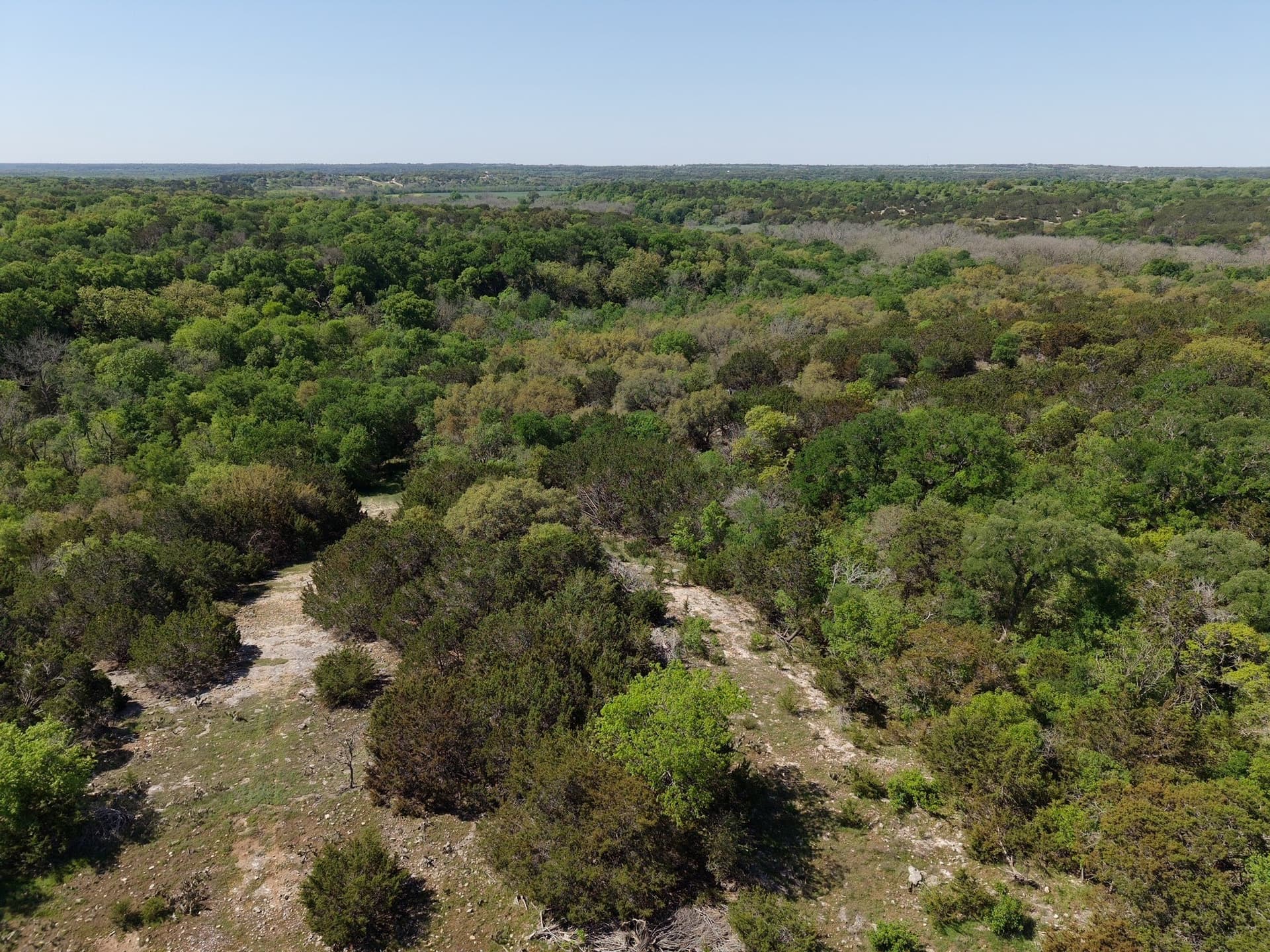 533 acres in Coryell County - photo 34