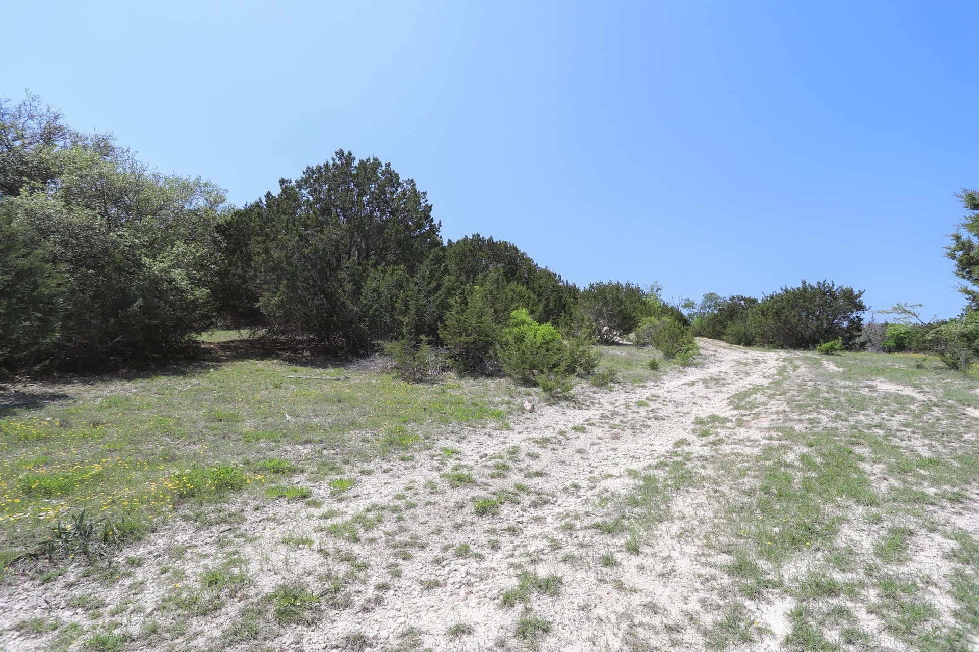 533 acres in Coryell County - photo 14