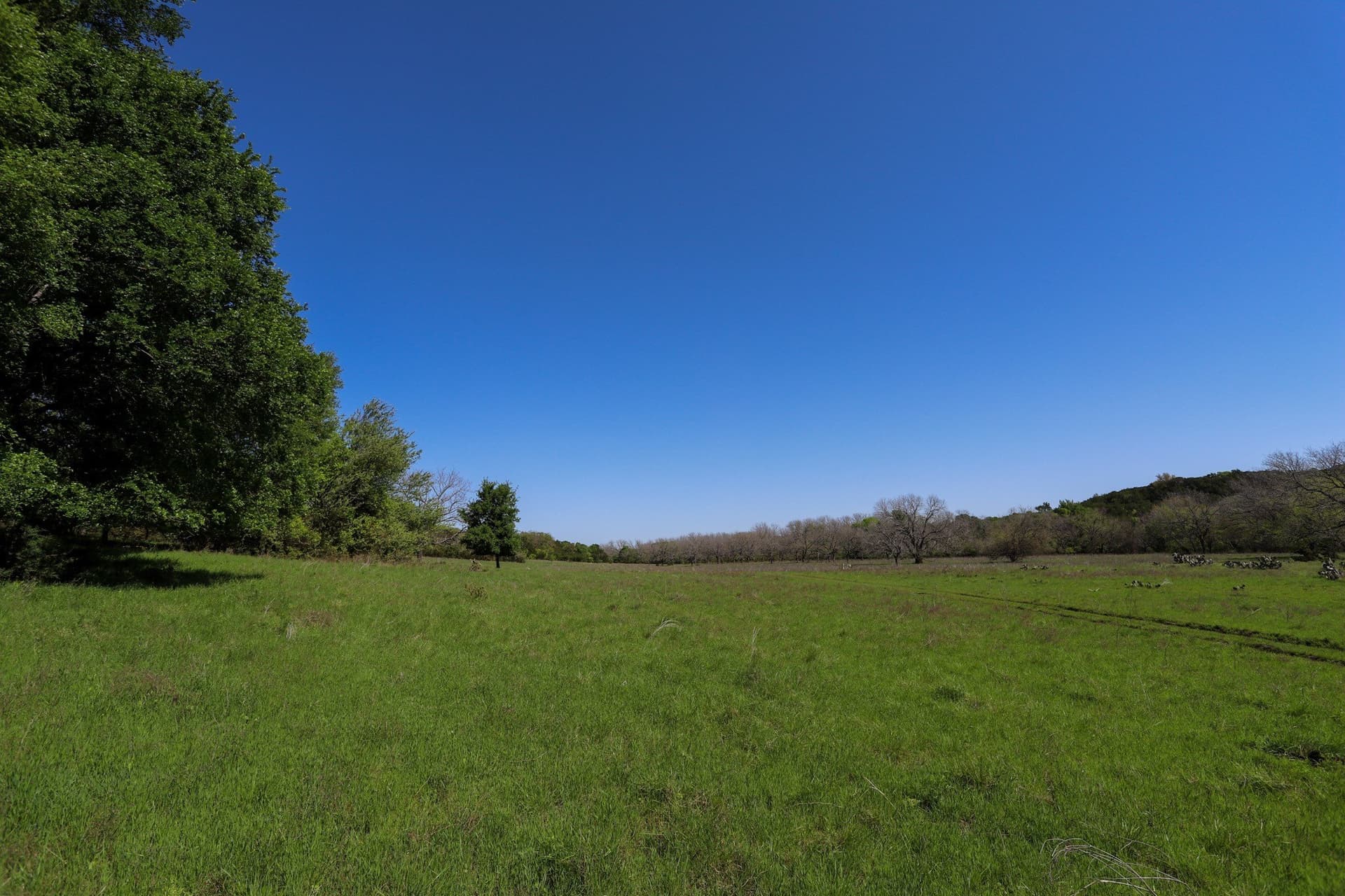 533 acres in Coryell County - photo 6