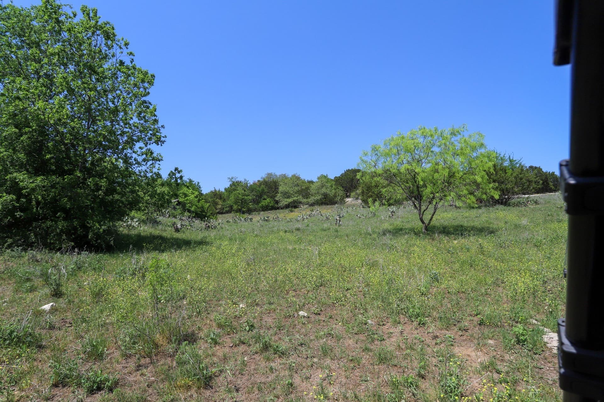 533 acres in Coryell County - photo 21