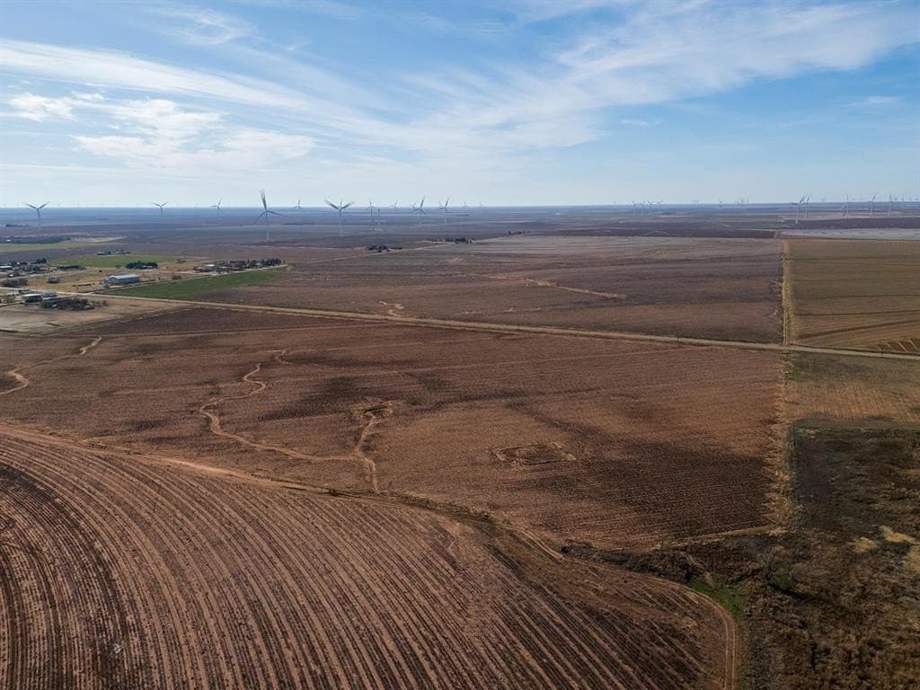 8 acres in Lynn County gallery image 3