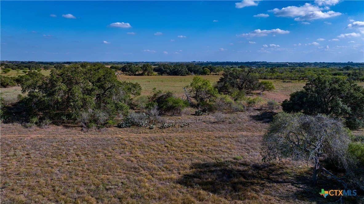 64.89 acres in Wilson County gallery image 2