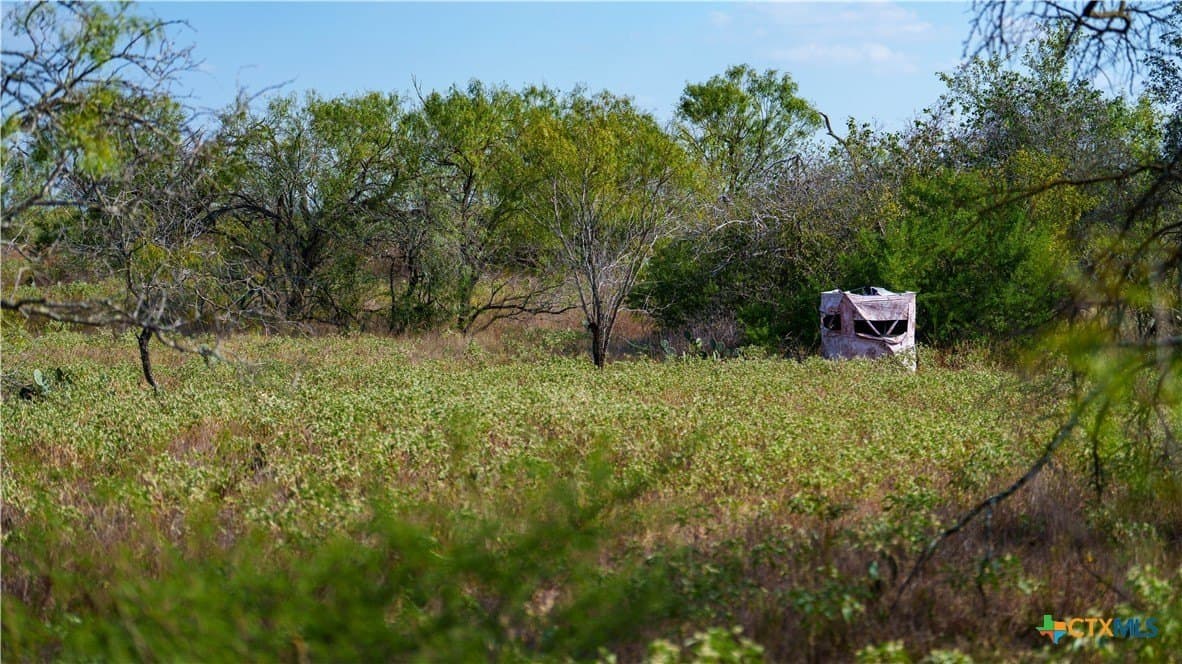 64.89 acres in Wilson County featured view