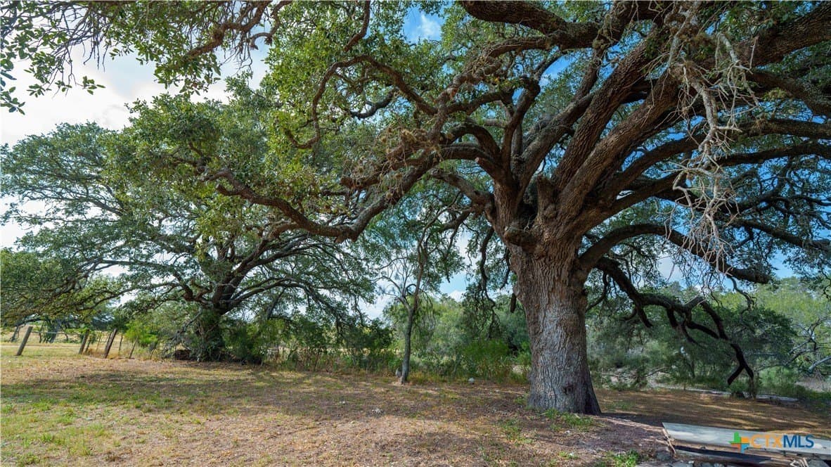 64.89 acres in Wilson County