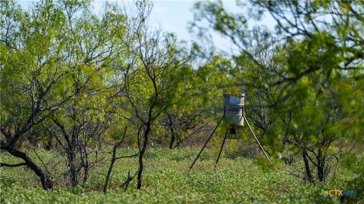 64.89 acres in Wilson County gallery image 4