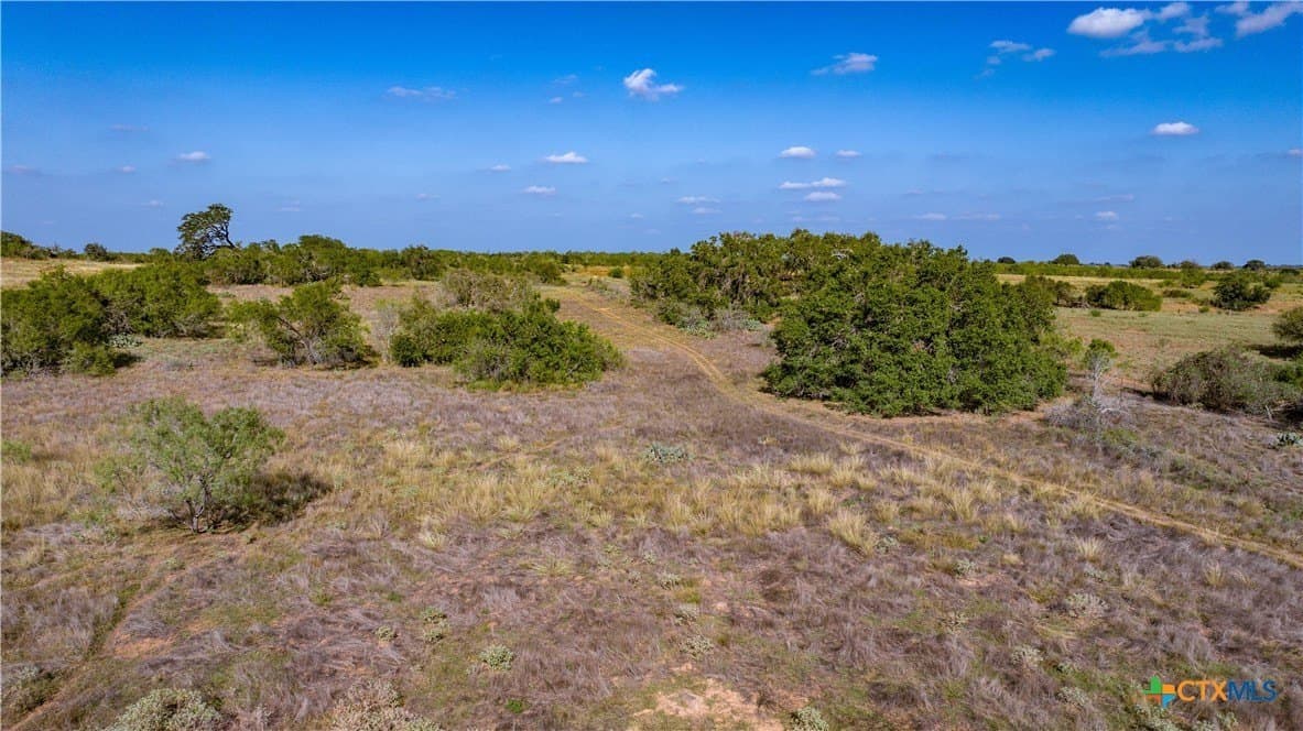 64.89 acres in Wilson County gallery image 3