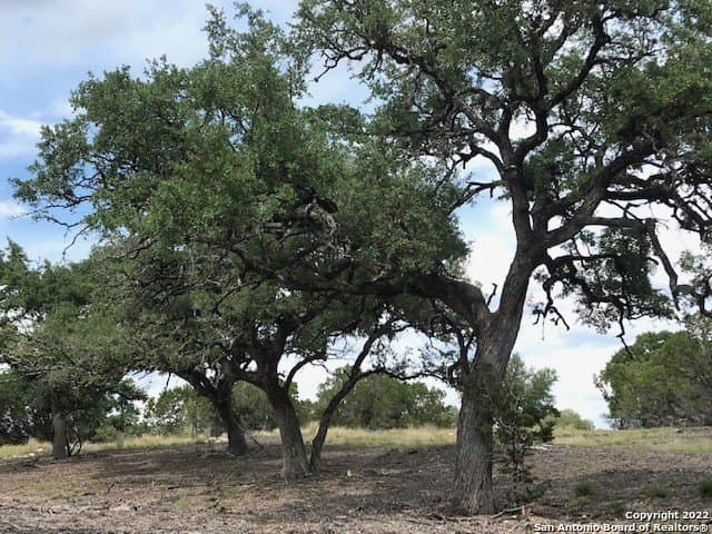 5.74 acres in Bandera County gallery image 2