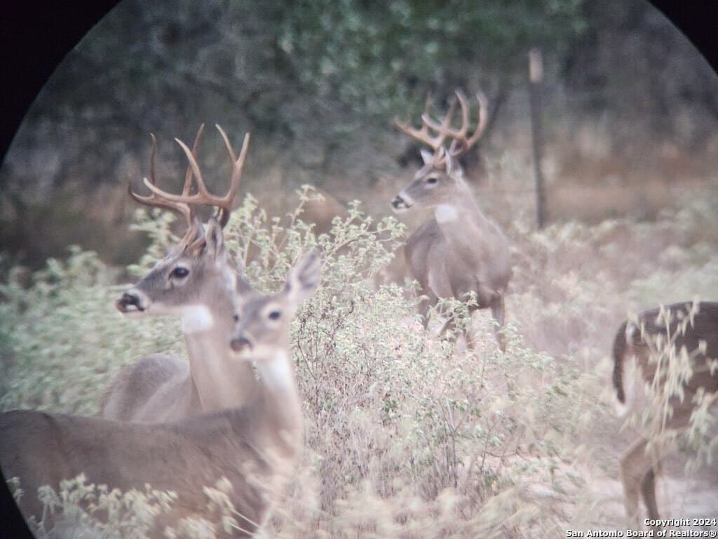 42.26 acres in Medina County - photo 25