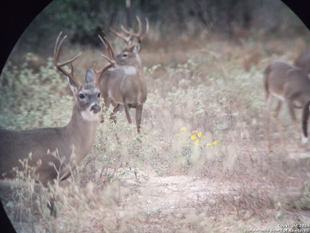 42.26 acres in Medina County - photo 24