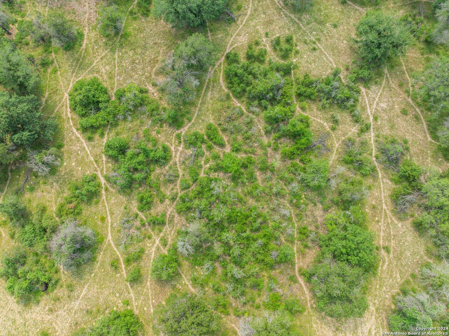 42.26 acres in Medina County - photo 20
