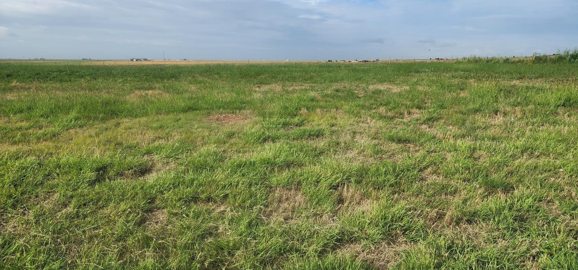 0.88 acres in Randall County gallery image 3