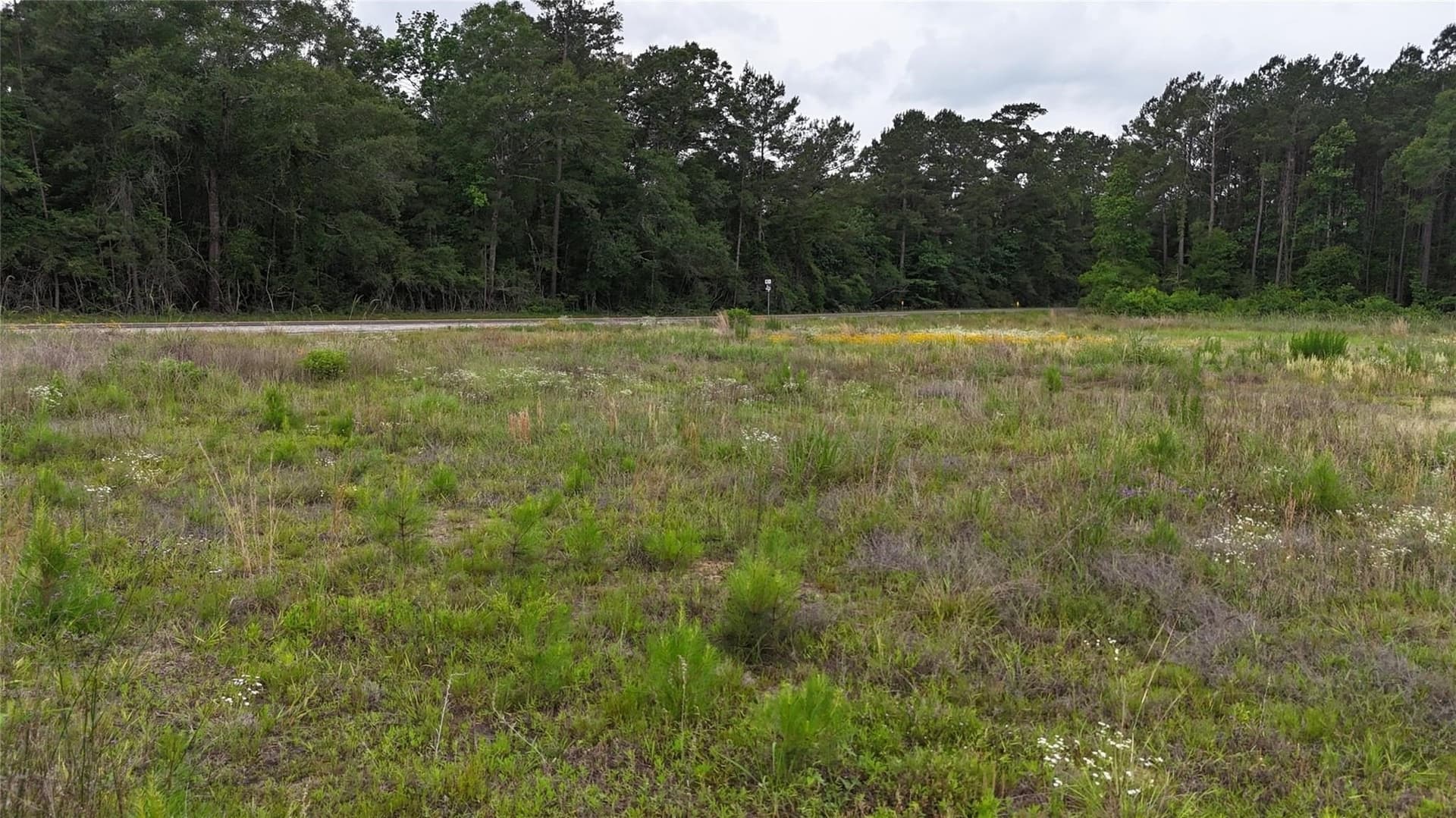 16.28 acres in Texas County - photo 8
