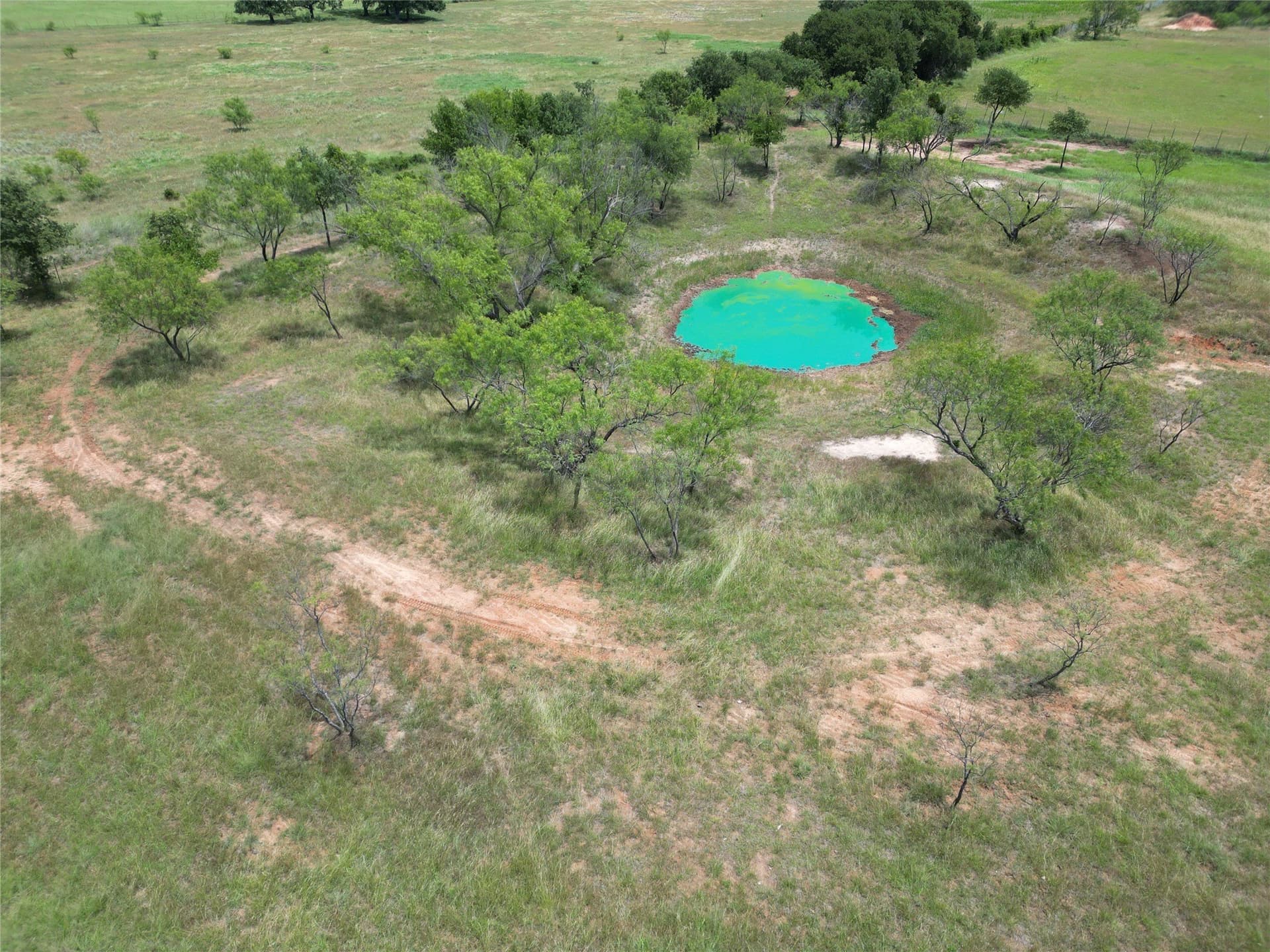 49.02 acres in Callahan County - photo 6