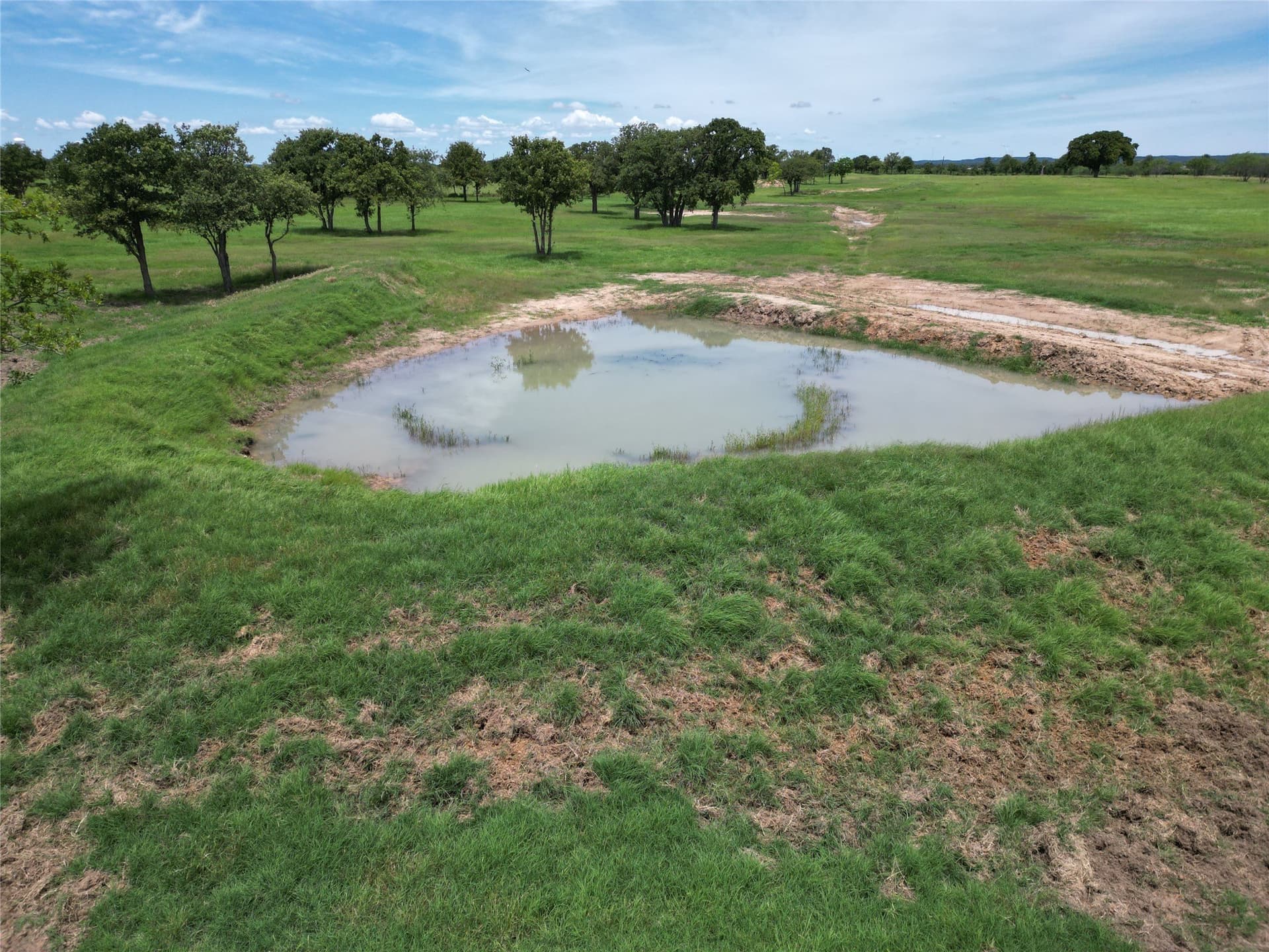 49.02 acres in Callahan County