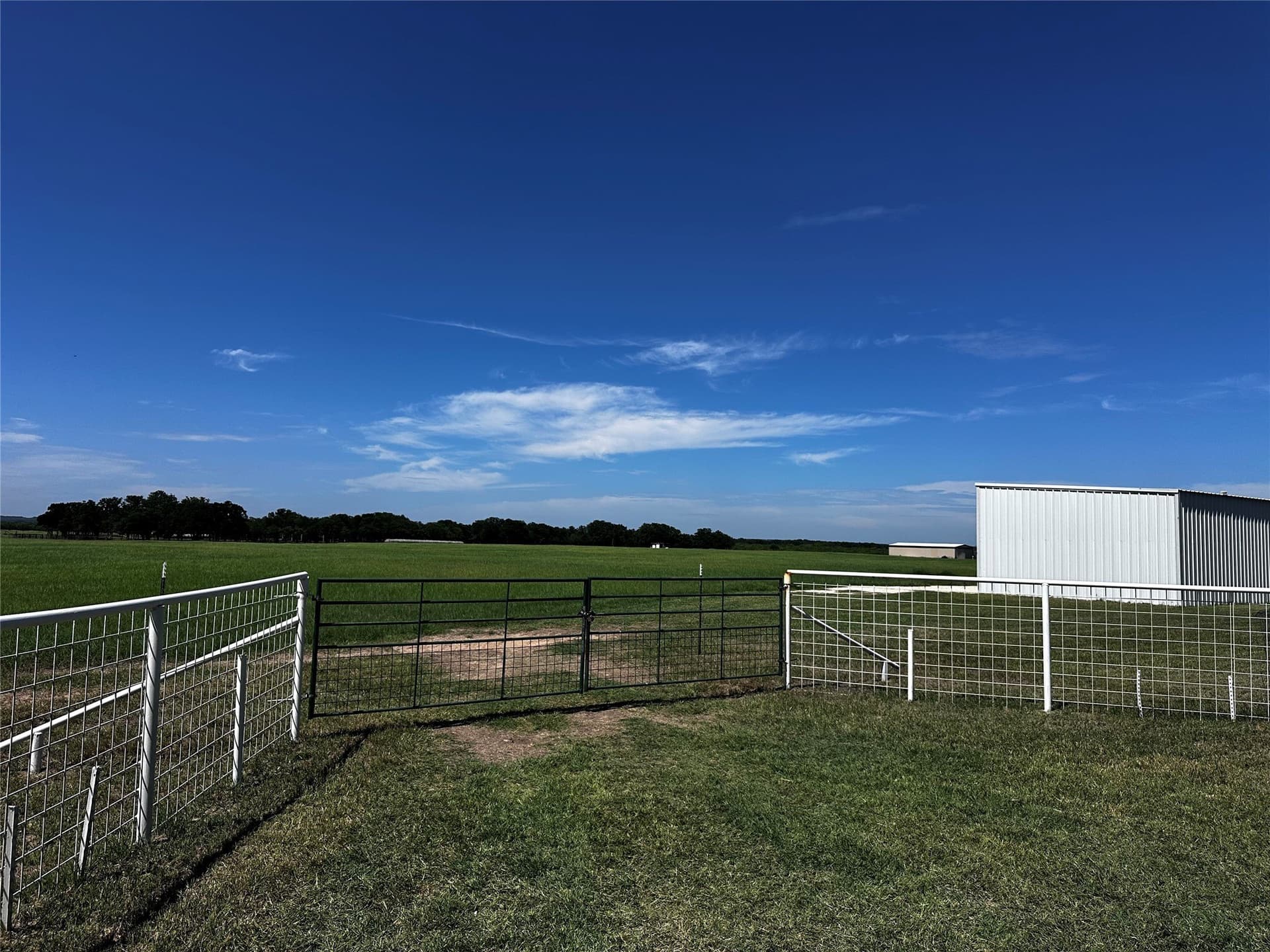 49.02 acres in Callahan County - photo 11