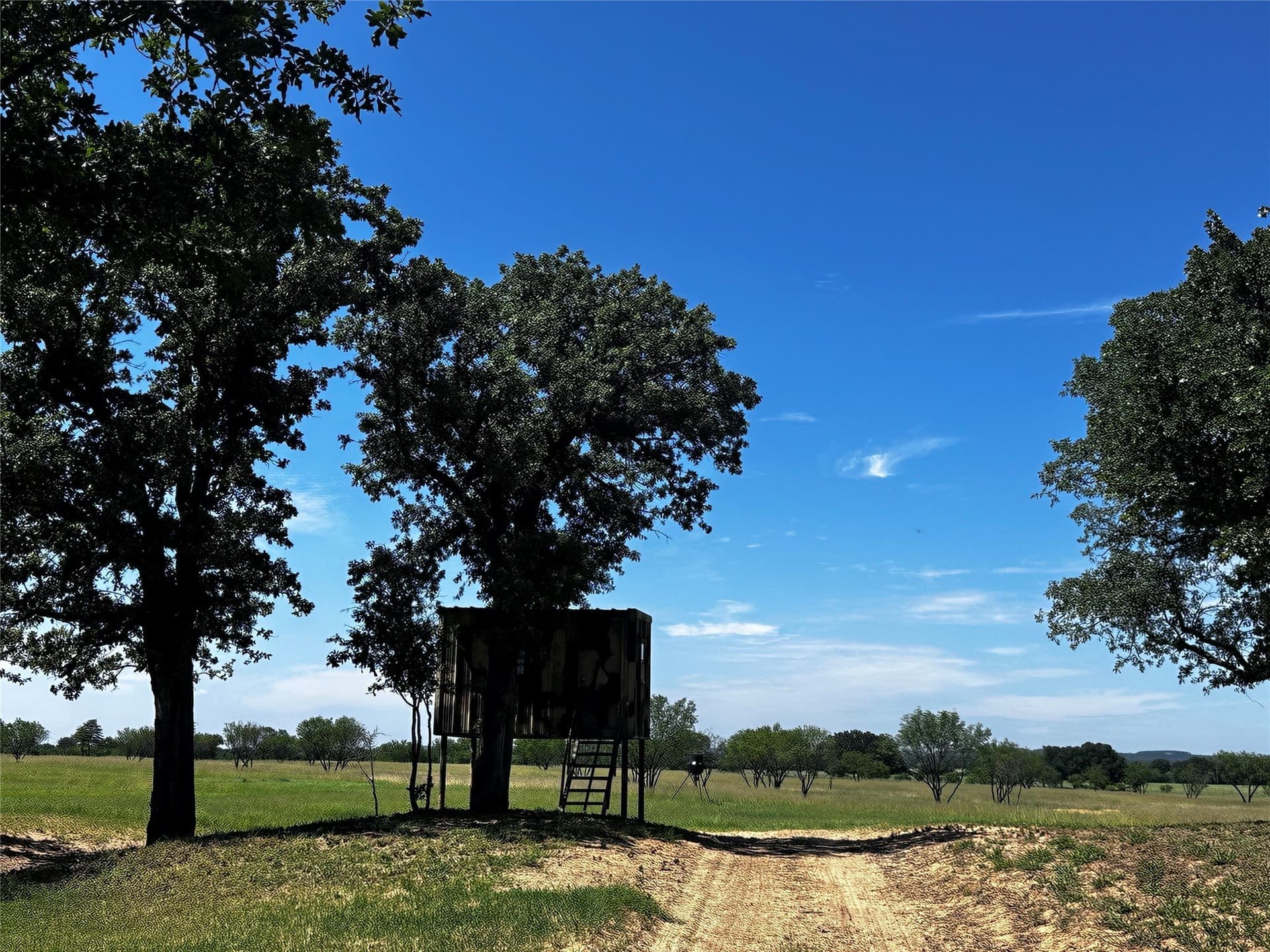 49.02 acres in Callahan County - photo 17