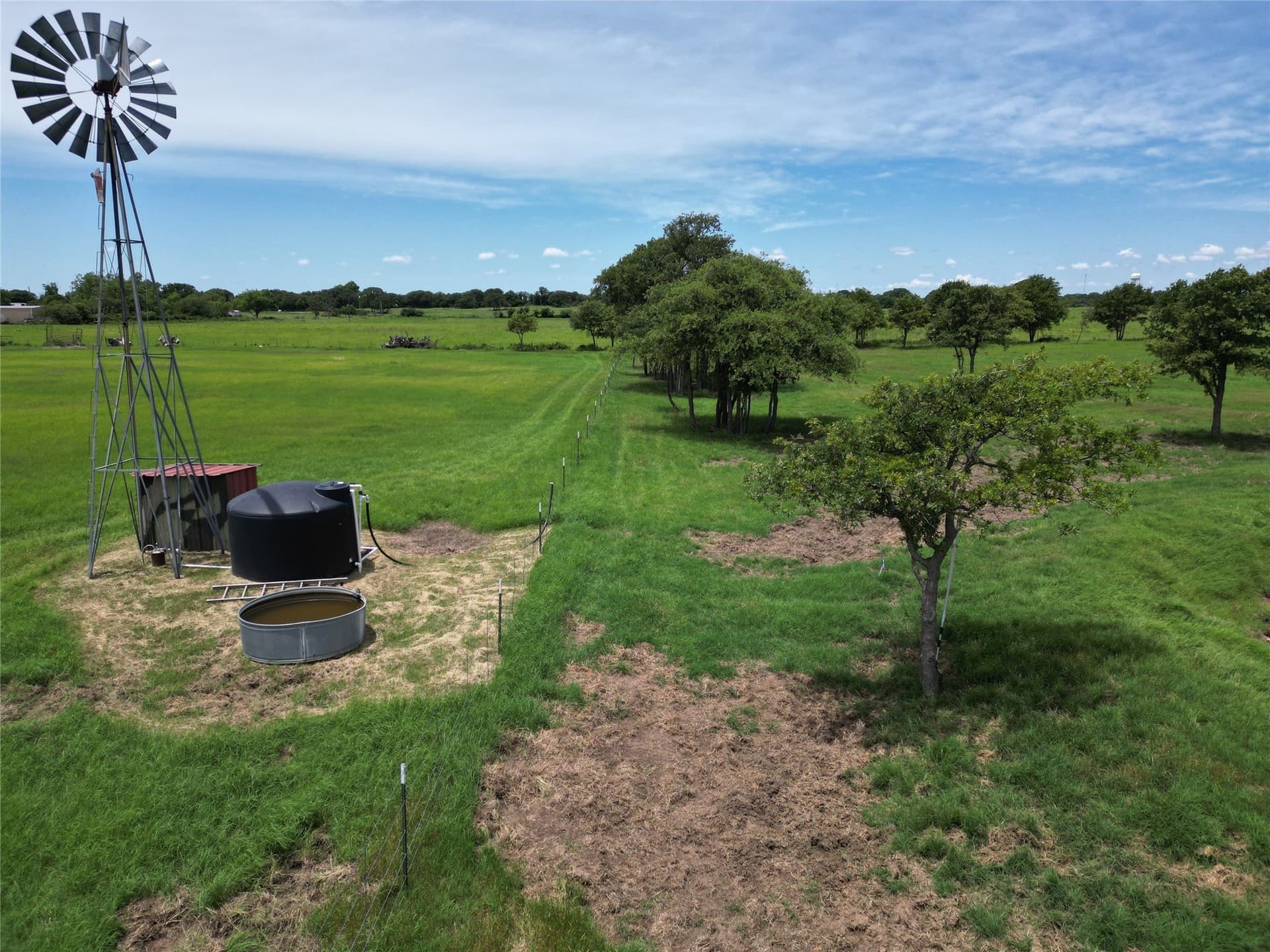 49.02 acres in Callahan County gallery image 3