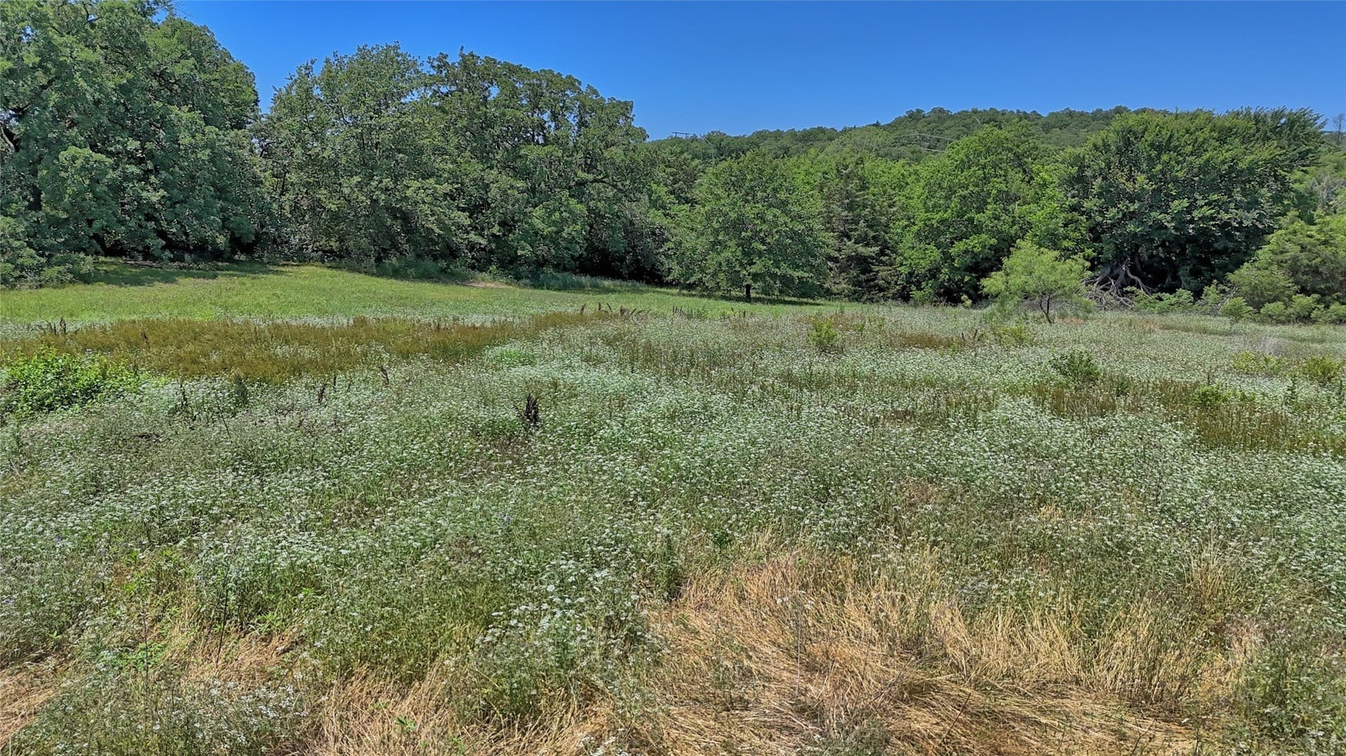 2.58 acres in Montague County - photo 10
