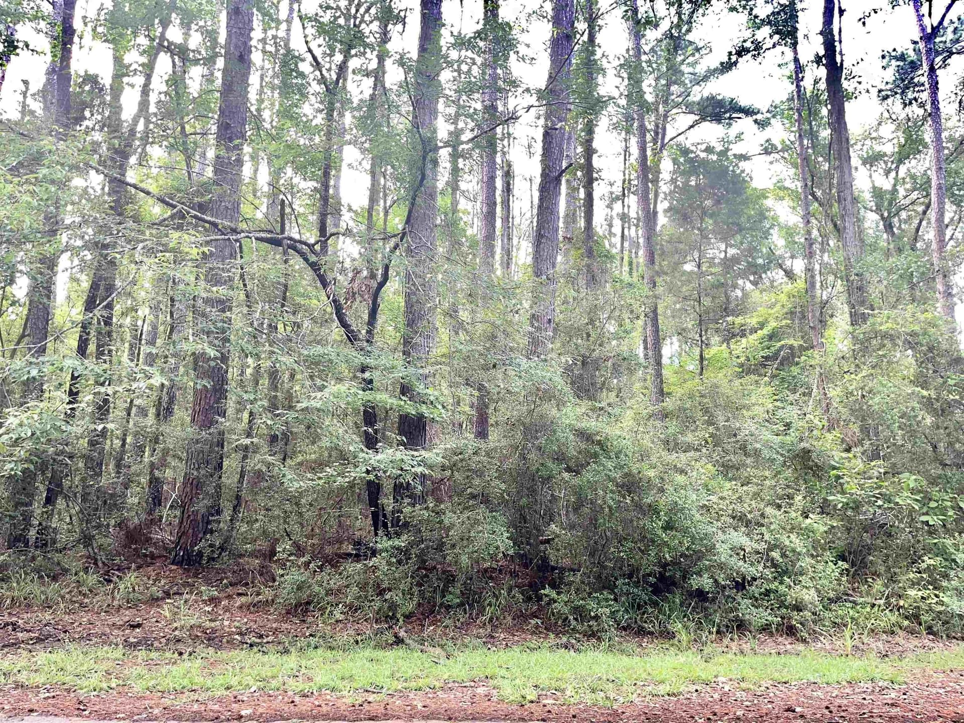 0.28 acres in Texas County featured view
