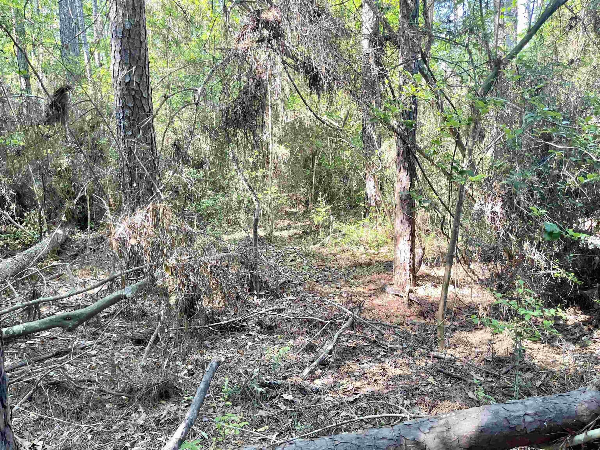 0.28 acres in Texas County gallery image 4