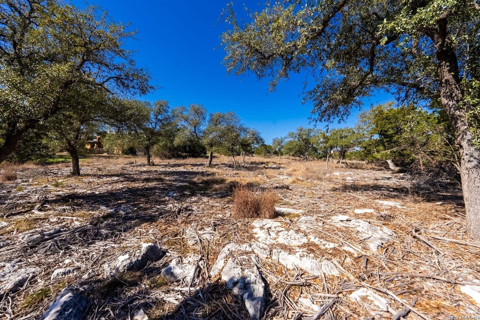 1.47 acres in Comal County - photo 22
