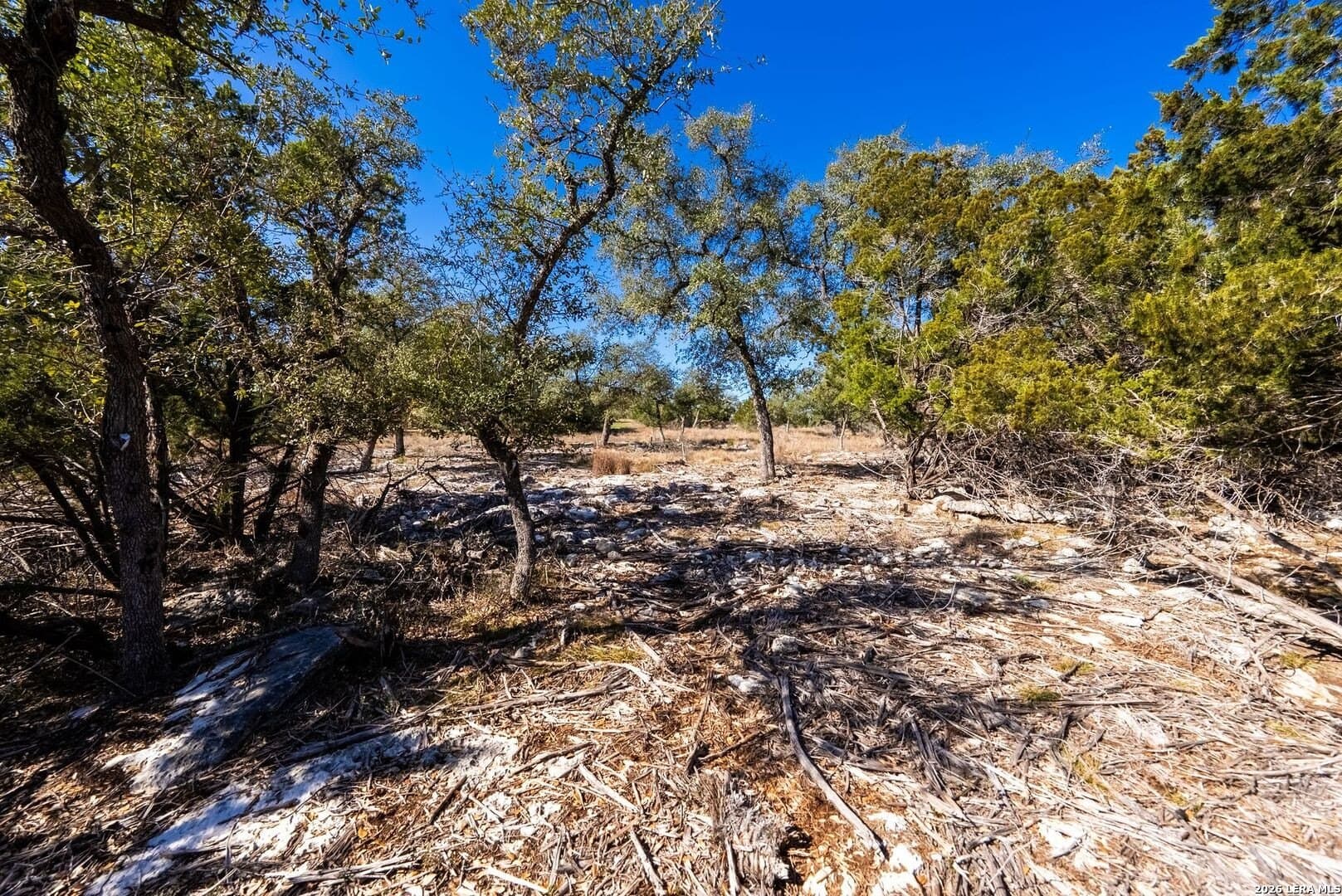 1.47 acres in Comal County - photo 21