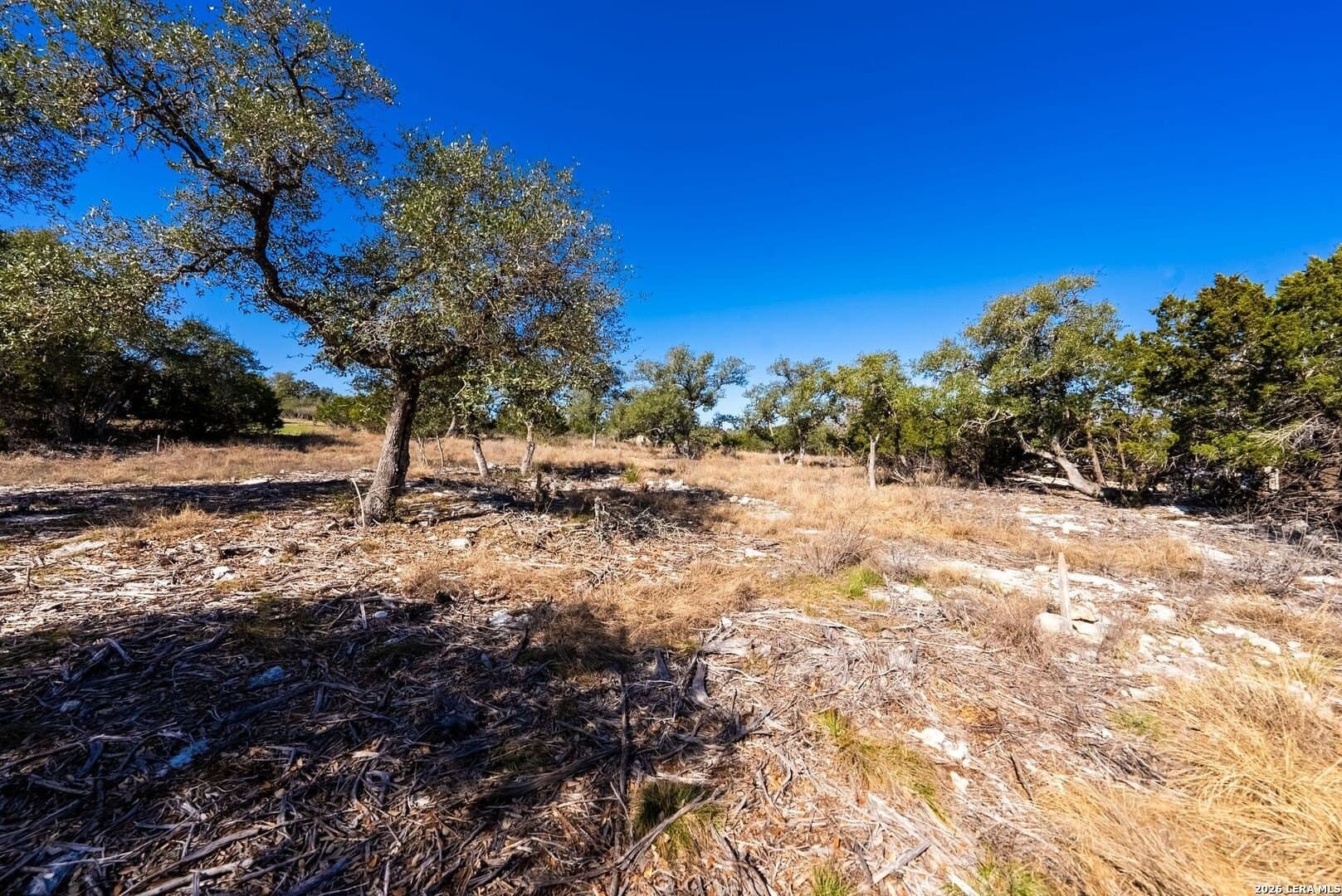 1.47 acres in Comal County - photo 23