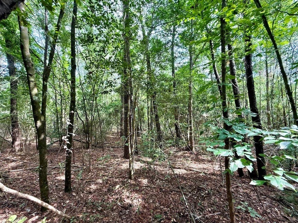 9.74 acres in Texas County - photo 14