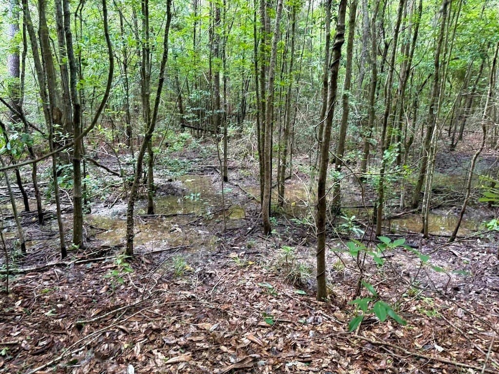 9.74 acres in Texas County - photo 10