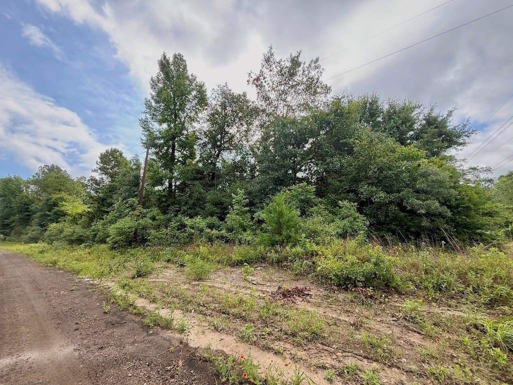 9.74 acres in Texas County - photo 20