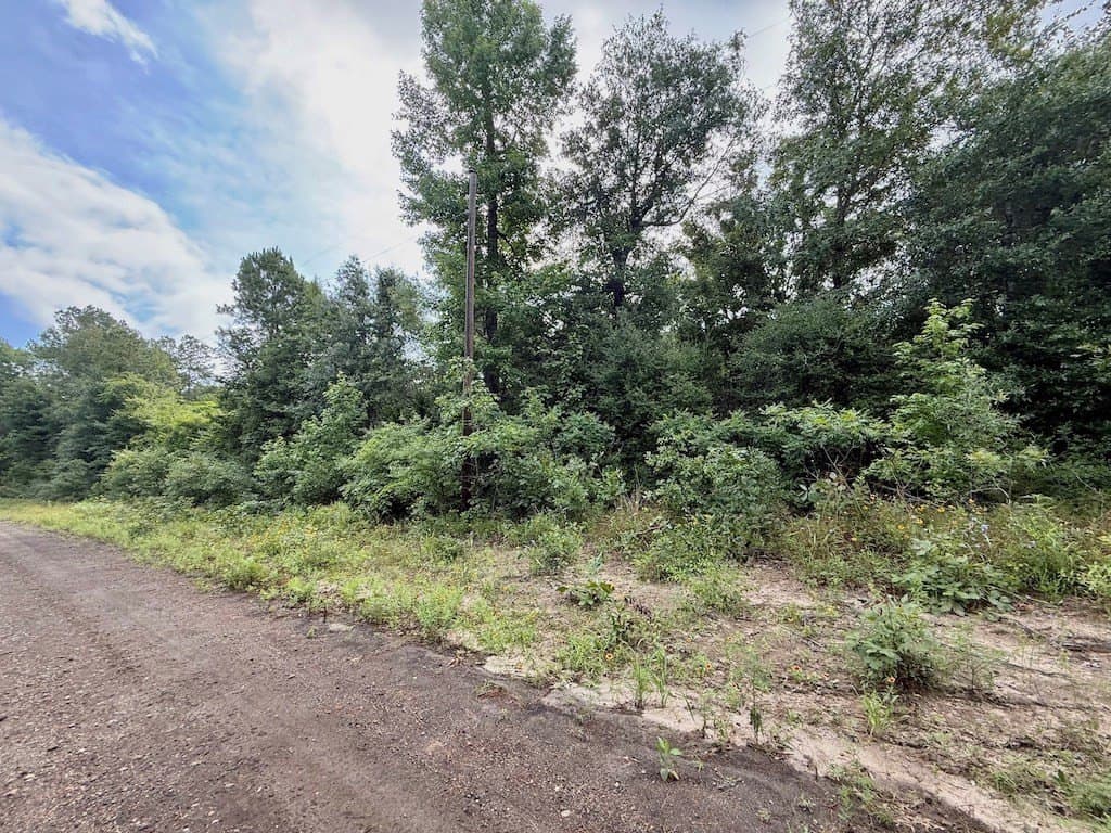 9.74 acres in Texas County - photo 8