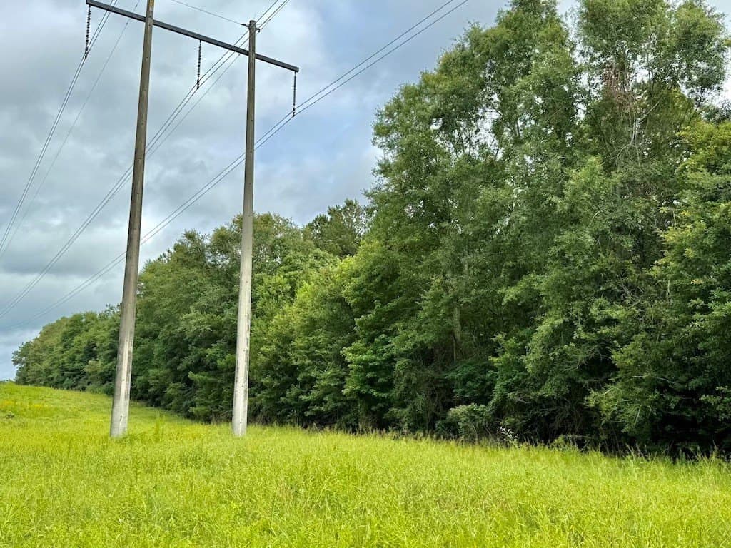 9.74 acres in Texas County featured view