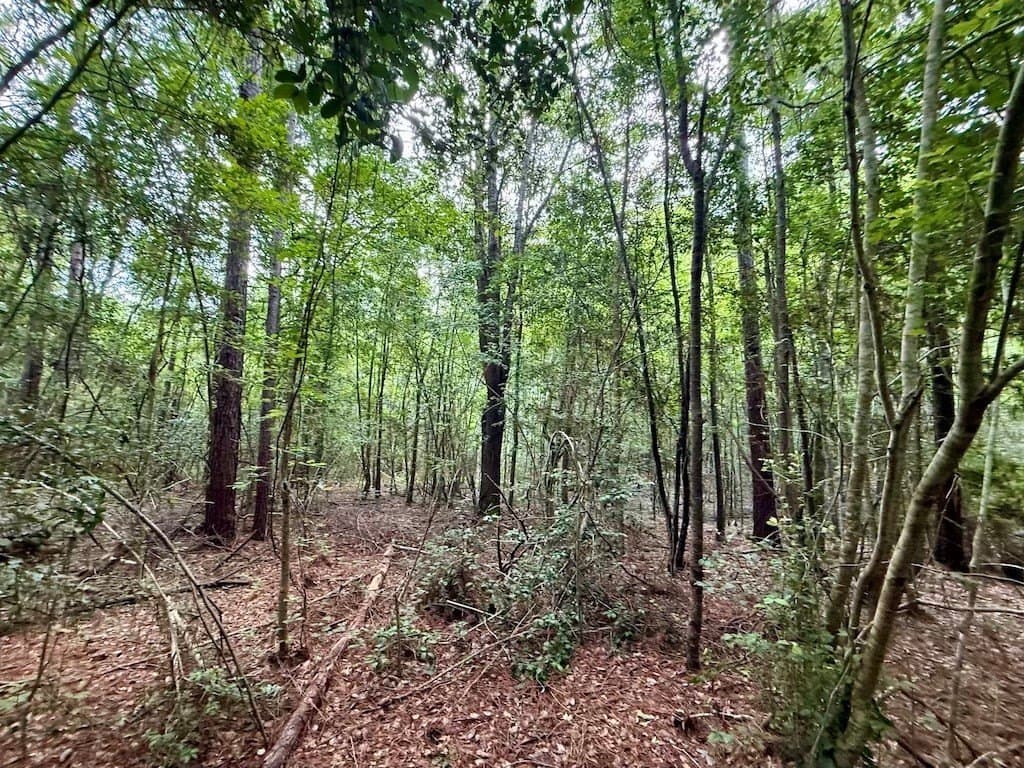 9.74 acres in Texas County - photo 12