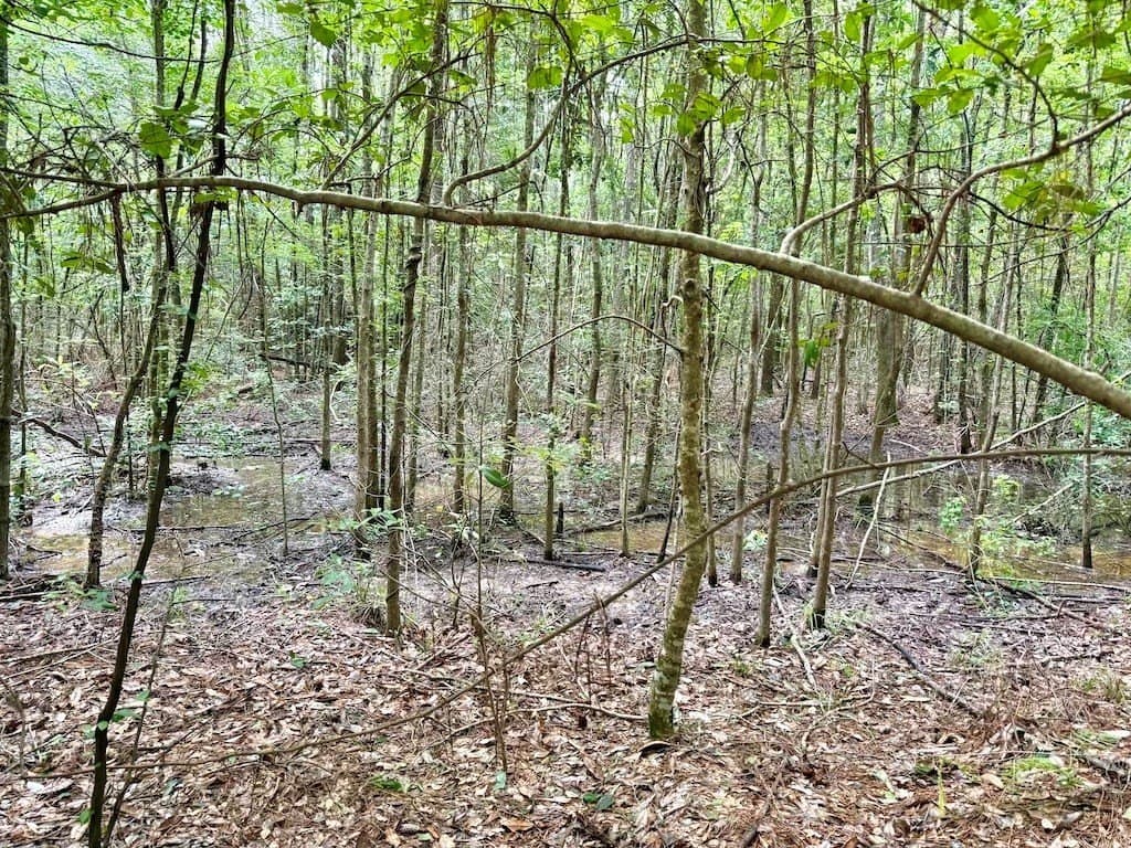 9.74 acres in Texas County - photo 11