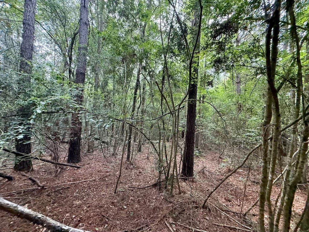 9.74 acres in Texas County - photo 13