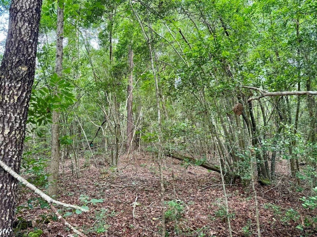 9.74 acres in Texas County - photo 16