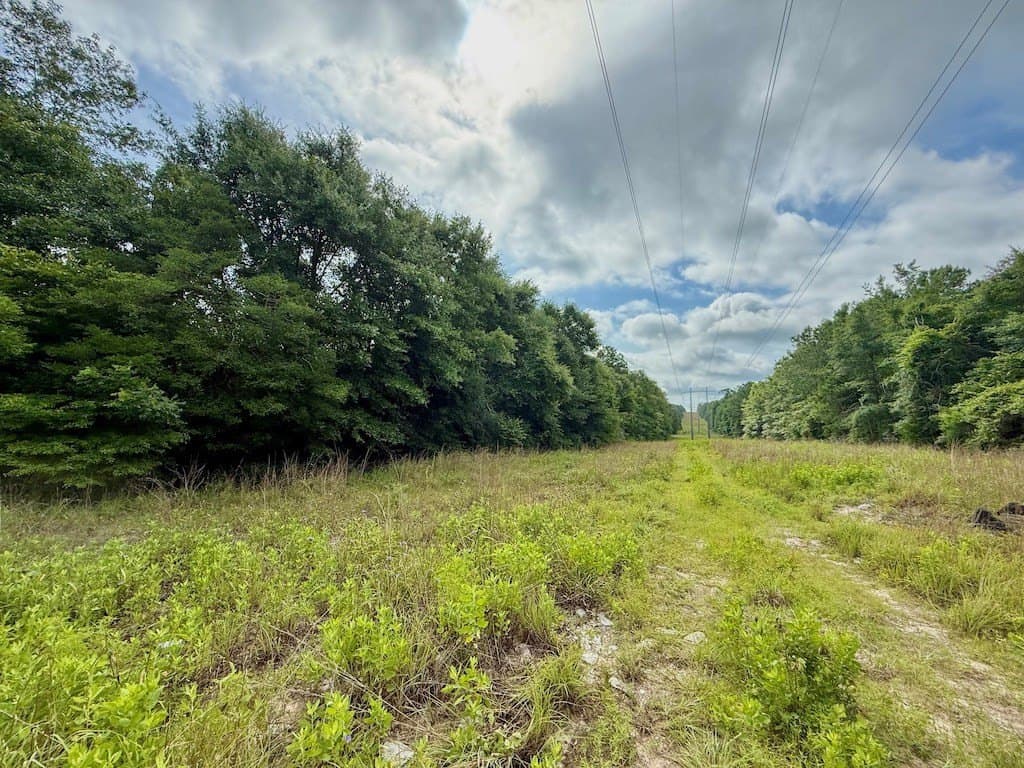 9.74 acres in Texas County - photo 19