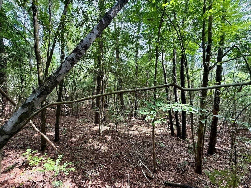 9.74 acres in Texas County - photo 15