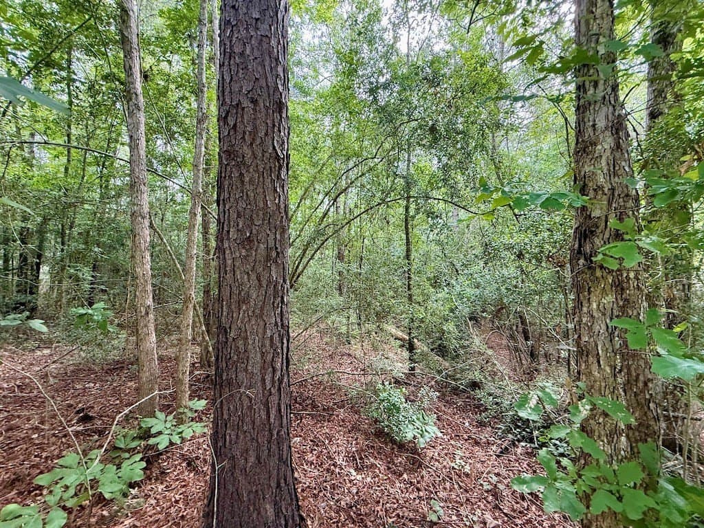 9.74 acres in Texas County - photo 7